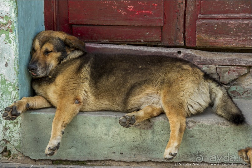 Районы Буэнос-Айреса за 6 часов (Buenos Aires, Argentina)