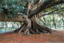 Районы Буэнос-Айреса за 6 часов (Buenos Aires, Argentina)