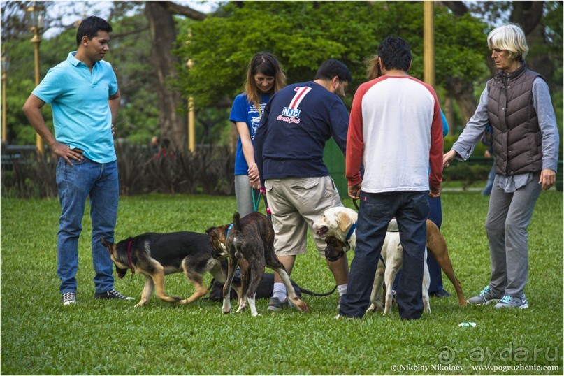 Районы Буэнос-Айреса за 6 часов (Buenos Aires, Argentina)