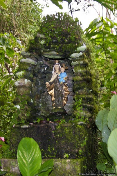 Покорение Америки. Часть 17. Дни 16-19: Ману или в поисках диких животных (Manu National Park, Peru)