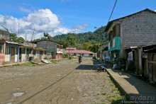 Покорение Америки. Часть 17. Дни 16-19: Ману или в поисках диких животных (Manu National Park, Peru)