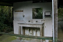 Покорение Америки. Часть 17. Дни 16-19: Ману или в поисках диких животных (Manu National Park, Peru)