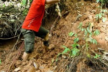 Покорение Америки. Часть 17. Дни 16-19: Ману или в поисках диких животных (Manu National Park, Peru)