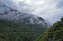 Покорение Америки. Часть 17. Дни 16-19: Ману или в поисках диких животных (Manu National Park, Peru)