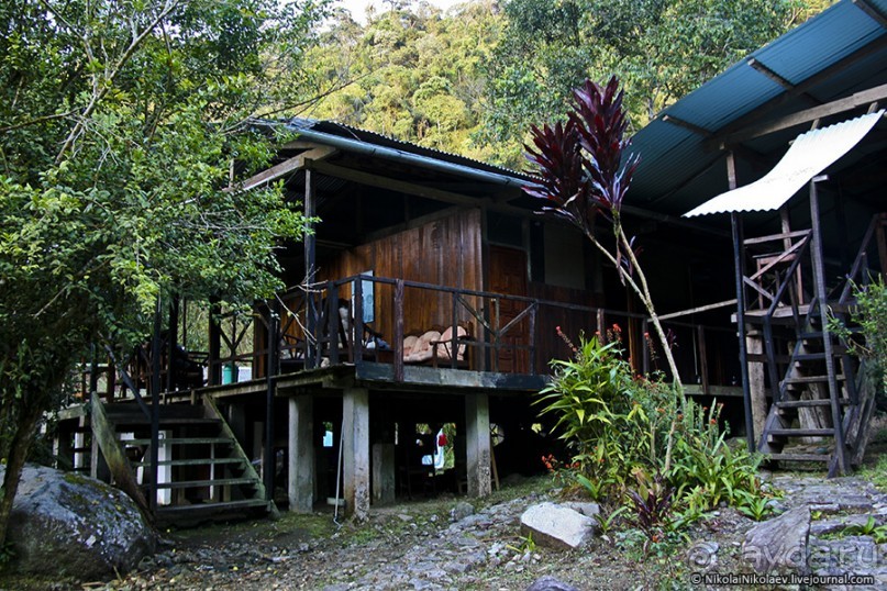 Покорение Америки. Часть 17. Дни 16-19: Ману или в поисках диких животных (Manu National Park, Peru)