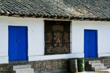 Покорение Америки. Часть 17. Дни 16-19: Ману или в поисках диких животных (Manu National Park, Peru)