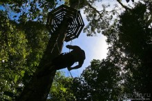 Покорение Америки. Часть 17. Дни 16-19: Ману или в поисках диких животных (Manu National Park, Peru)