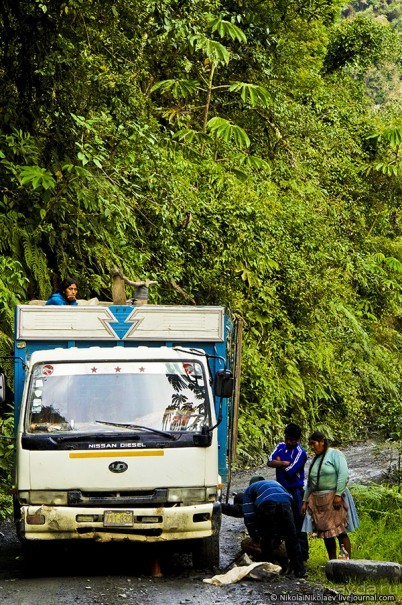 Покорение Америки. Часть 17. Дни 16-19: Ману или в поисках диких животных (Manu National Park, Peru)