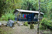 Покорение Америки. Часть 17. Дни 16-19: Ману или в поисках диких животных (Manu National Park, Peru)