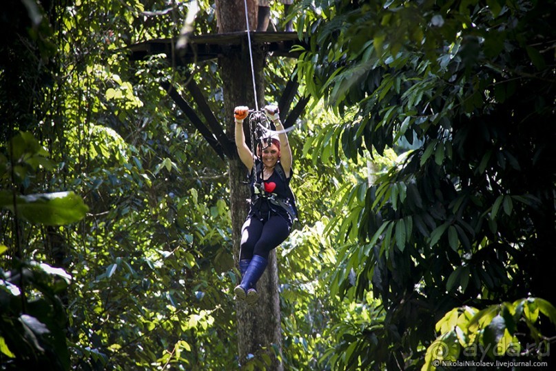 Покорение Америки. Часть 17. Дни 16-19: Ману или в поисках диких животных (Manu National Park, Peru)
