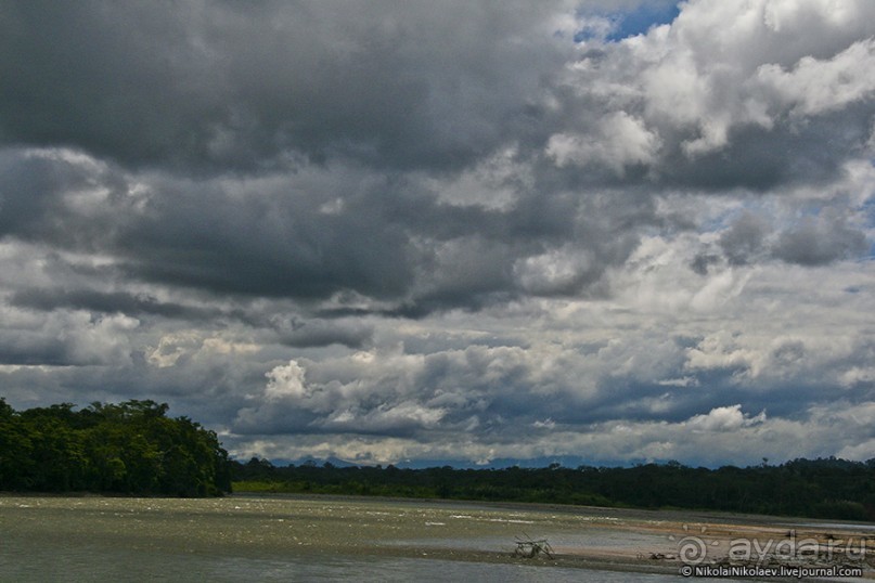 Покорение Америки. Часть 17. Дни 16-19: Ману или в поисках диких животных (Manu National Park, Peru)