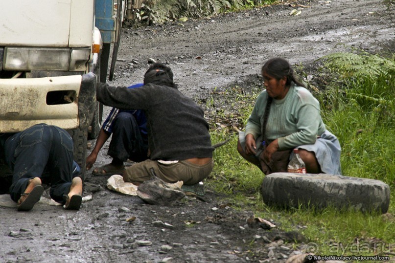 Покорение Америки. Часть 17. Дни 16-19: Ману или в поисках диких животных (Manu National Park, Peru)