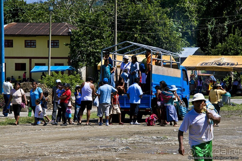Покорение Америки. Часть 17. Дни 16-19: Ману или в поисках диких животных (Manu National Park, Peru)