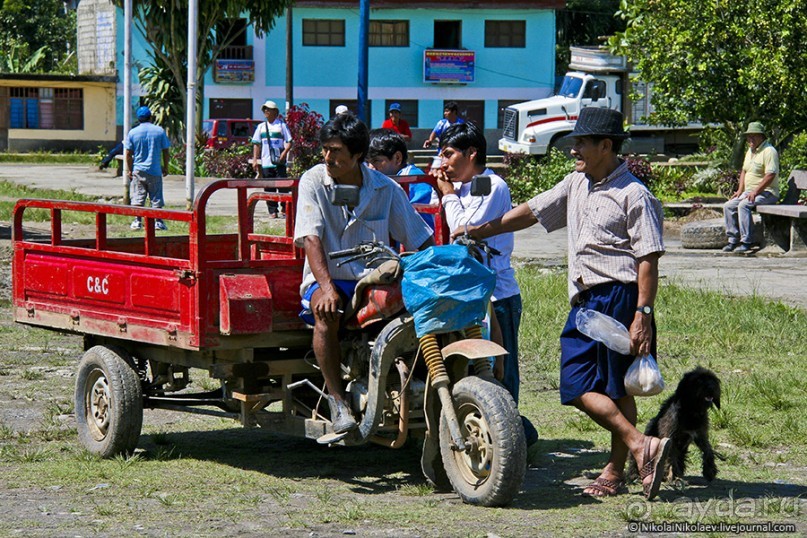 Покорение Америки. Часть 17. Дни 16-19: Ману или в поисках диких животных (Manu National Park, Peru)