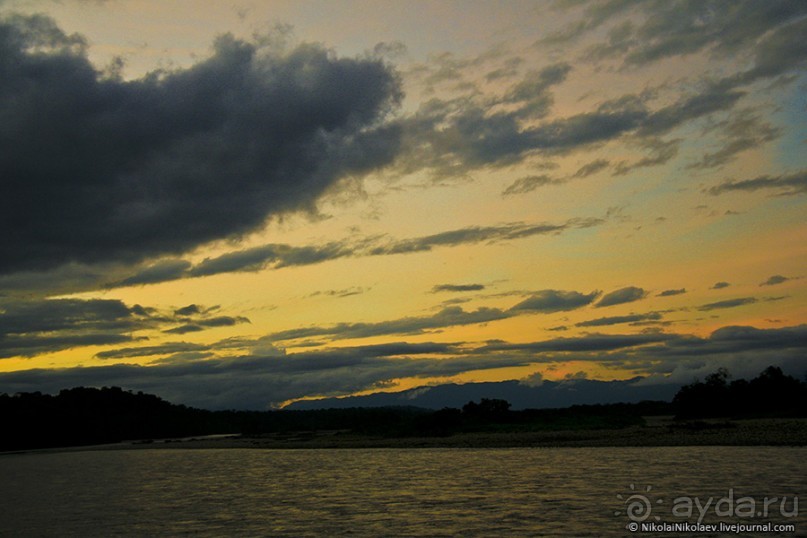 Покорение Америки. Часть 17. Дни 16-19: Ману или в поисках диких животных (Manu National Park, Peru)