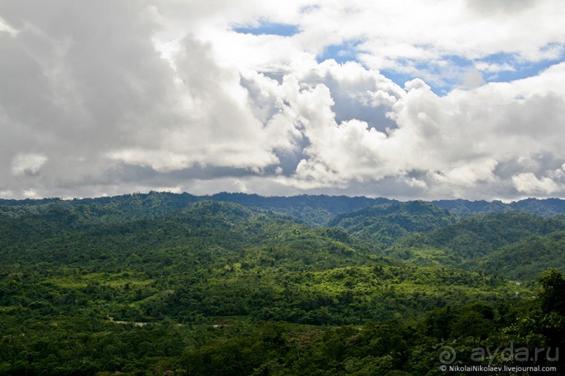 Покорение Америки. Часть 17. Дни 16-19: Ману или в поисках диких животных (Manu National Park, Peru)