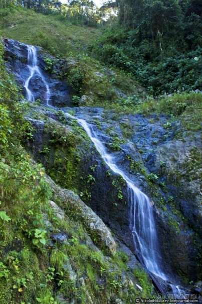 Покорение Америки. Часть 17. Дни 16-19: Ману или в поисках диких животных (Manu National Park, Peru)