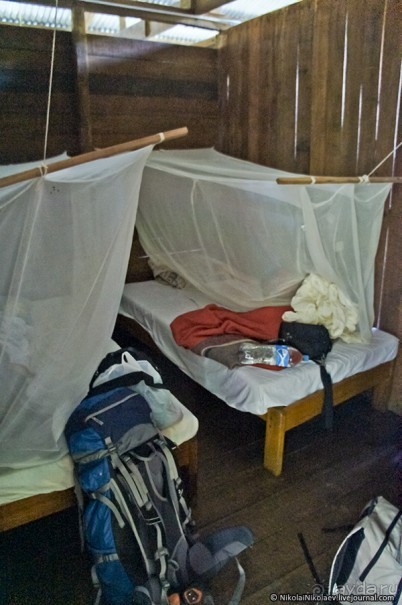 Покорение Америки. Часть 17. Дни 16-19: Ману или в поисках диких животных (Manu National Park, Peru)