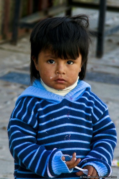 Покорение Америки. Часть 17. Дни 16-19: Ману или в поисках диких животных (Manu National Park, Peru)