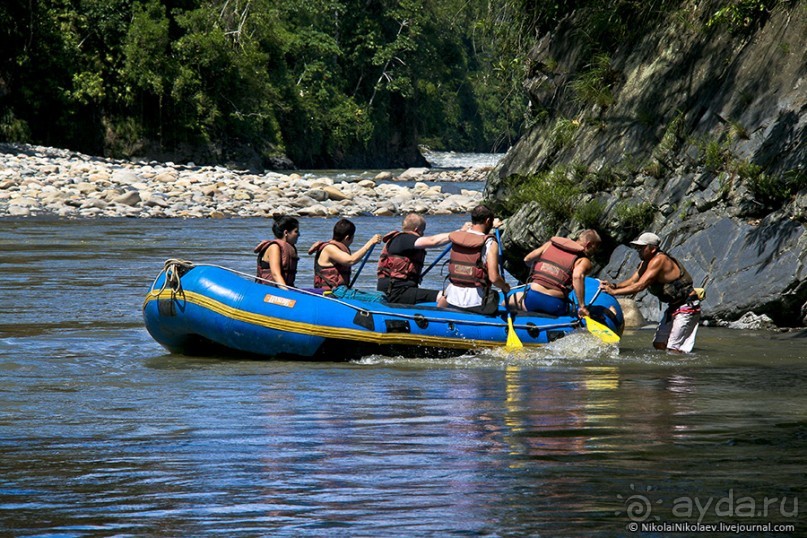 Покорение Америки. Часть 17. Дни 16-19: Ману или в поисках диких животных (Manu National Park, Peru)