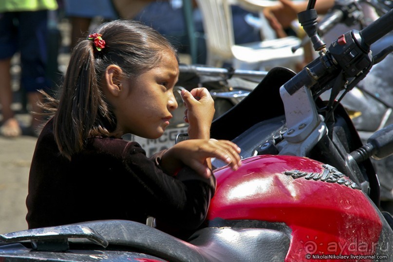 Покорение Америки. Часть 17. Дни 16-19: Ману или в поисках диких животных (Manu National Park, Peru)