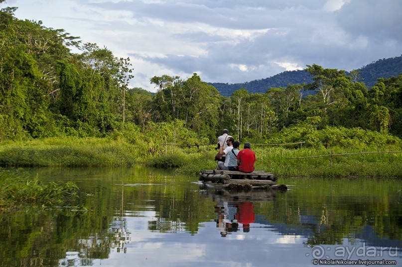 Покорение Америки. Часть 17. Дни 16-19: Ману или в поисках диких животных (Manu National Park, Peru)
