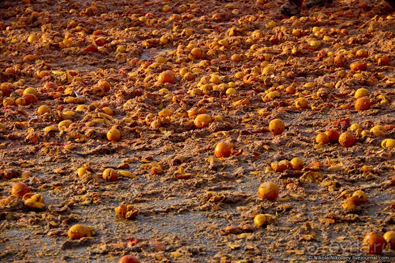 Апельсиновая бойня (Ivrea, Italy)