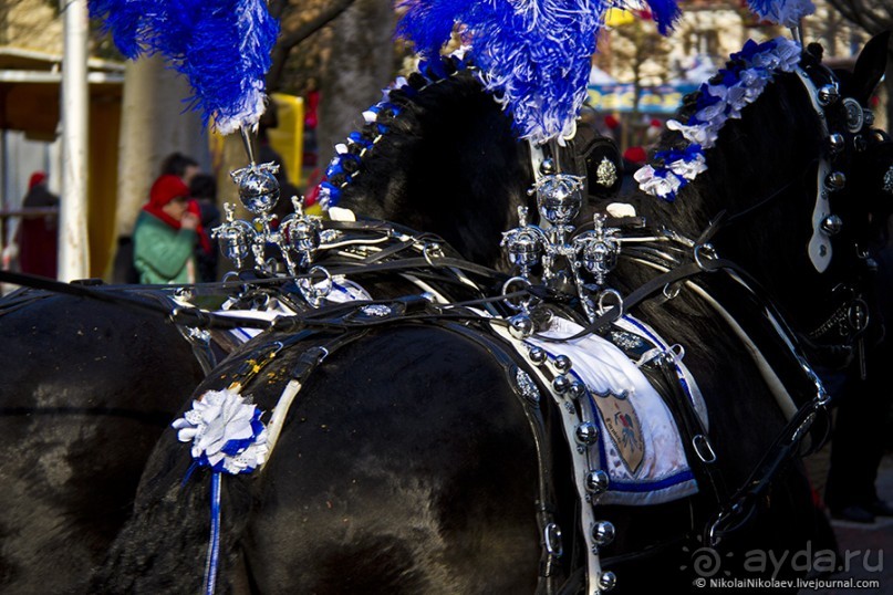 Апельсиновая бойня (Ivrea, Italy)