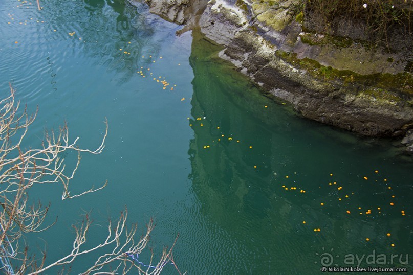 Апельсиновая бойня (Ivrea, Italy)