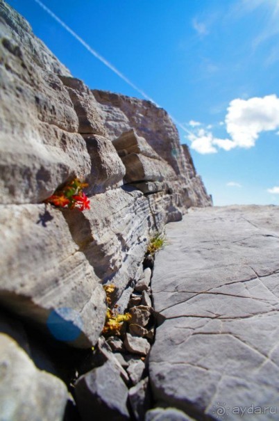 Пики Европы (Asturias, Fuente-de, Spain)