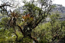 Покорение Америки. Часть 18. День 21: Умереть от красоты (Yungay, Peru)