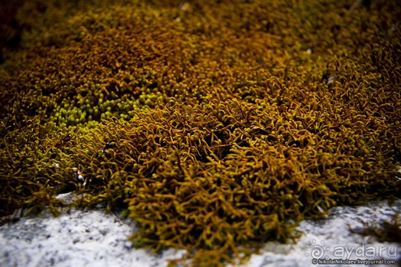 Покорение Америки. Часть 18. День 21: Умереть от красоты (Yungay, Peru)