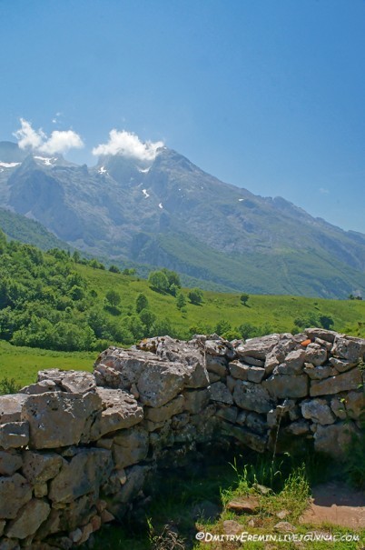 Альбом отзыва "Альпийские луга Астуриаса (Asturias, Spain)"
