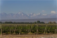 Мендоса: грязи, горы и вино (Mendoza, Argentina)