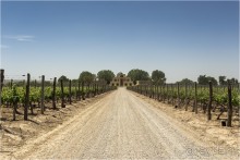 Мендоса: грязи, горы и вино (Mendoza, Argentina)