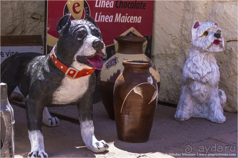 Мендоса: грязи, горы и вино (Mendoza, Argentina)