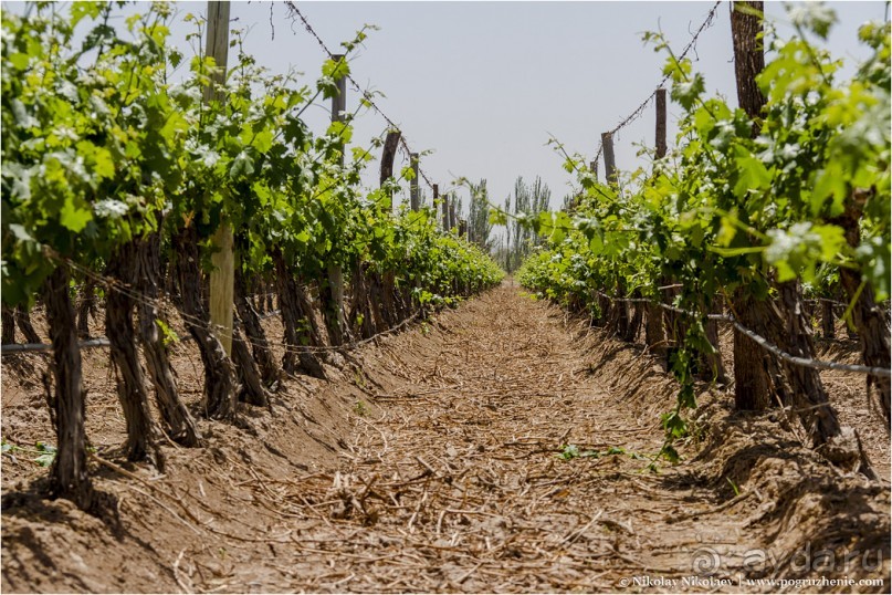 Мендоса: грязи, горы и вино (Mendoza, Argentina)