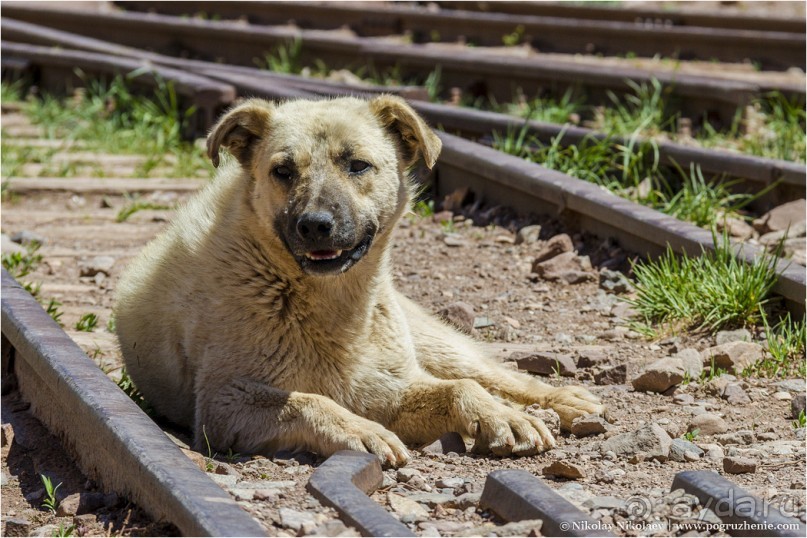 Мендоса: грязи, горы и вино (Mendoza, Argentina)