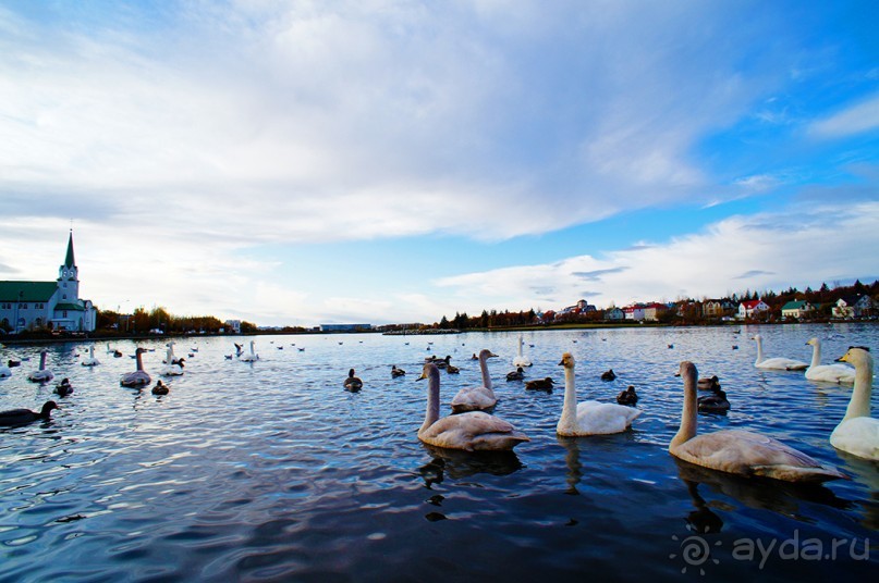 «Открытие Исландии» часть 1: Рейкьявик (Reykjavík, Iceland)