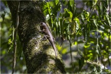 Водопады Игуасу: самое мокрое чудо света (Puerto Iguazu, Argentina)