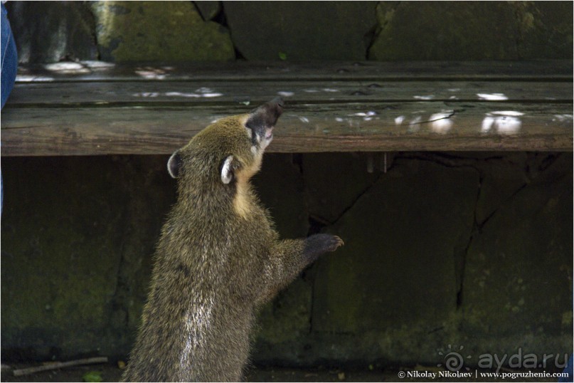 Водопады Игуасу: самое мокрое чудо света (Puerto Iguazu, Argentina)