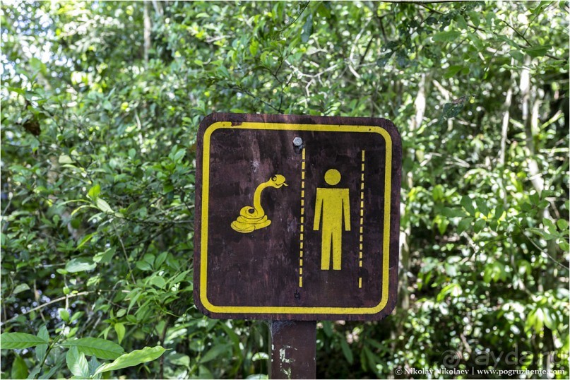 Водопады Игуасу: самое мокрое чудо света (Puerto Iguazu, Argentina)