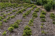 А в Мадриде есть река! (Madrid, Spain)
