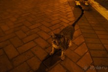 Покорение Америки. Часть 3. День 2: Как мы “сделали” Колумба и Лима прекрасная (Lima, Peru)