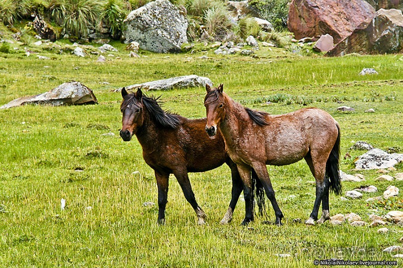 Покорение Америки. Часть 19. День 22: Прогулка по Уарасу (Quillcayhuanca, Huaraz, Peru)