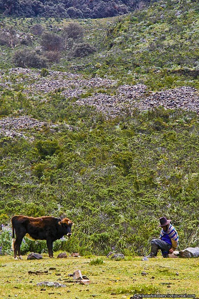 Покорение Америки. Часть 19. День 22: Прогулка по Уарасу (Quillcayhuanca, Huaraz, Peru)