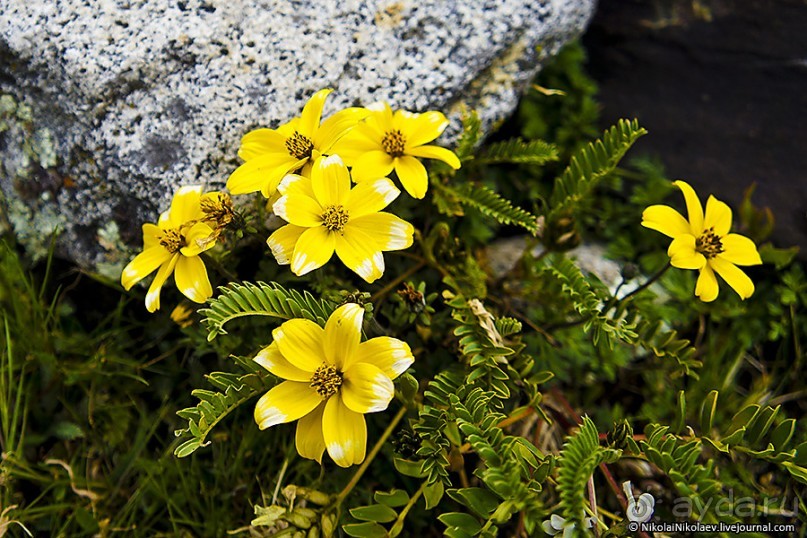 Покорение Америки. Часть 19. День 22: Прогулка по Уарасу (Quillcayhuanca, Huaraz, Peru)