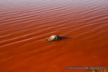 Покорение Америки ч-12. День 10: Марсианская сага 2 (Near Eduardo Avaroa National Reserve, Bolivia)