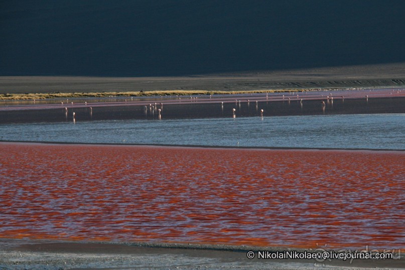 Покорение Америки ч-12. День 10: Марсианская сага 2 (Near Eduardo Avaroa National Reserve, Bolivia)