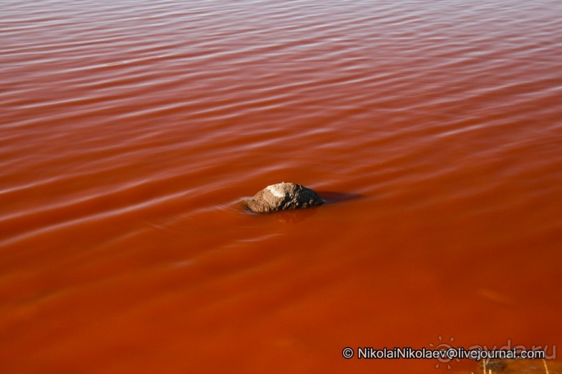 Покорение Америки ч-12. День 10: Марсианская сага 2 (Near Eduardo Avaroa National Reserve, Bolivia)